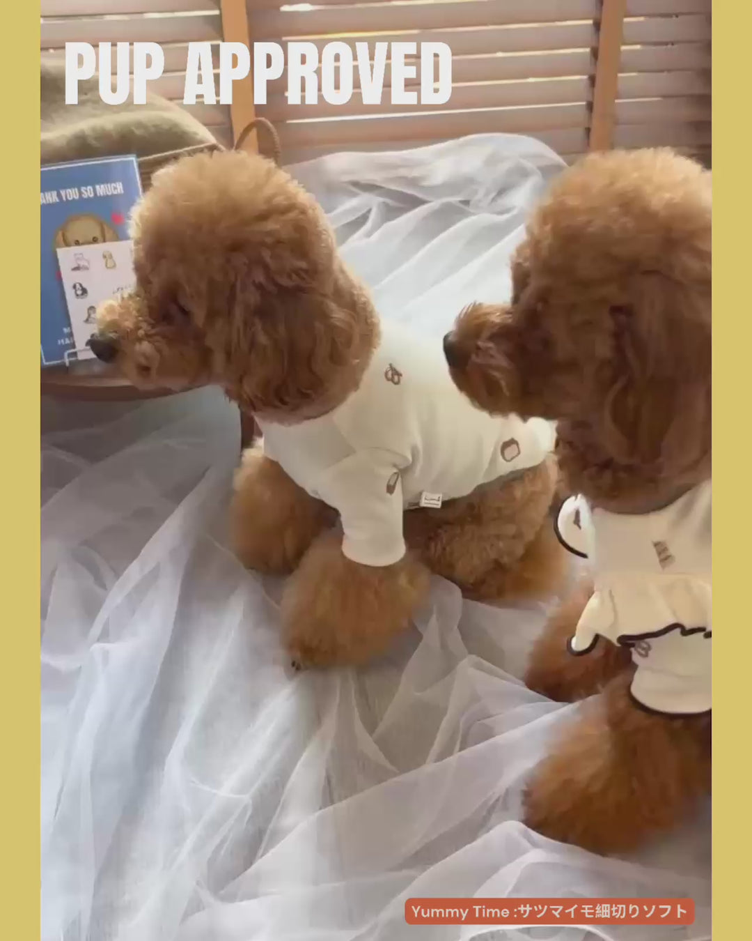 【国産/無添加】さつまいも細切りソフト 60g