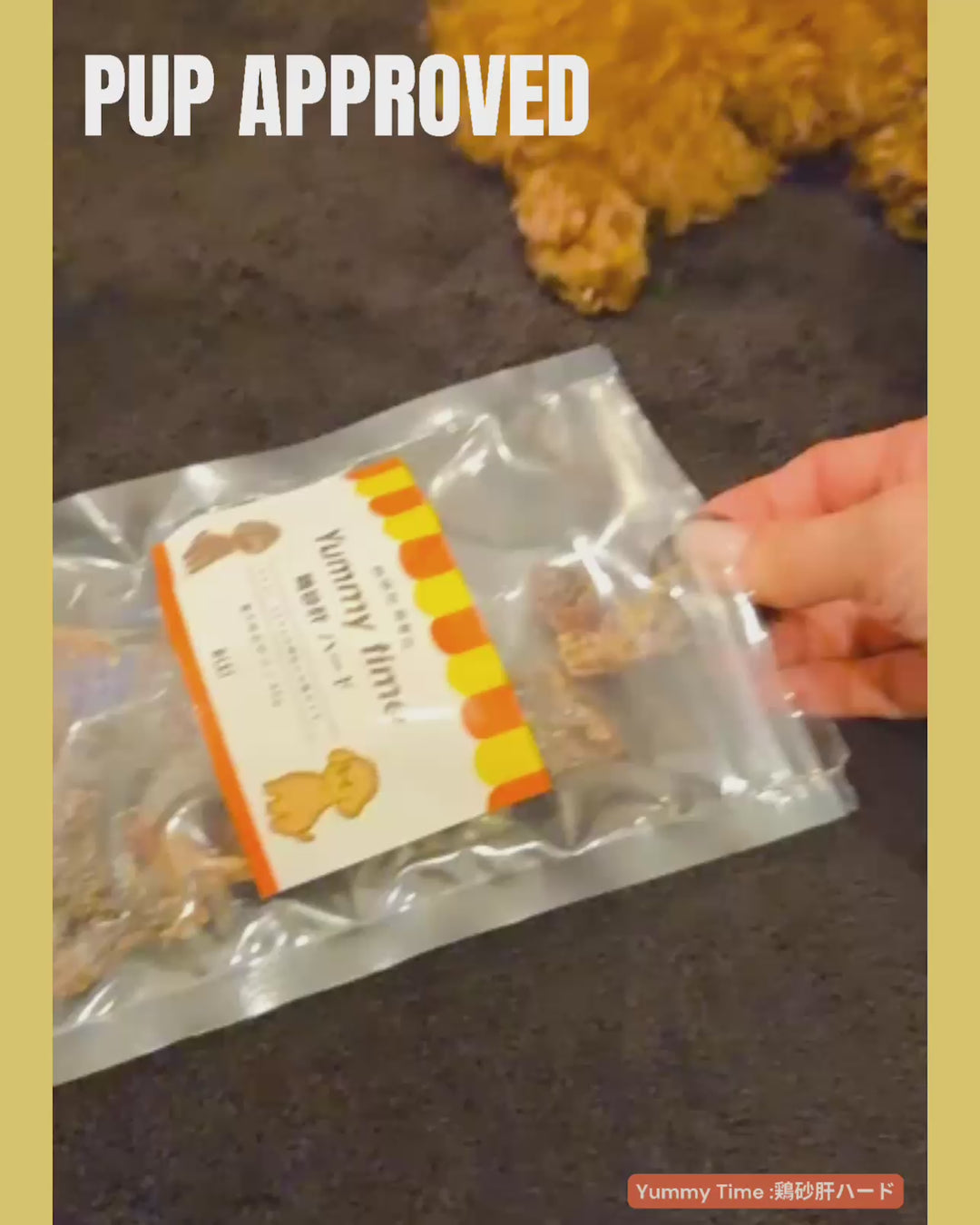 【国産/無添加】 鶏砂肝ハード 45g