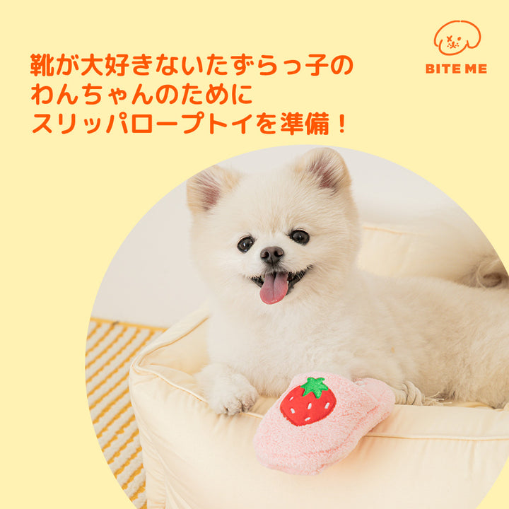 スリッパロープトイ