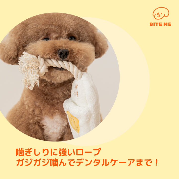 スリッパロープトイ